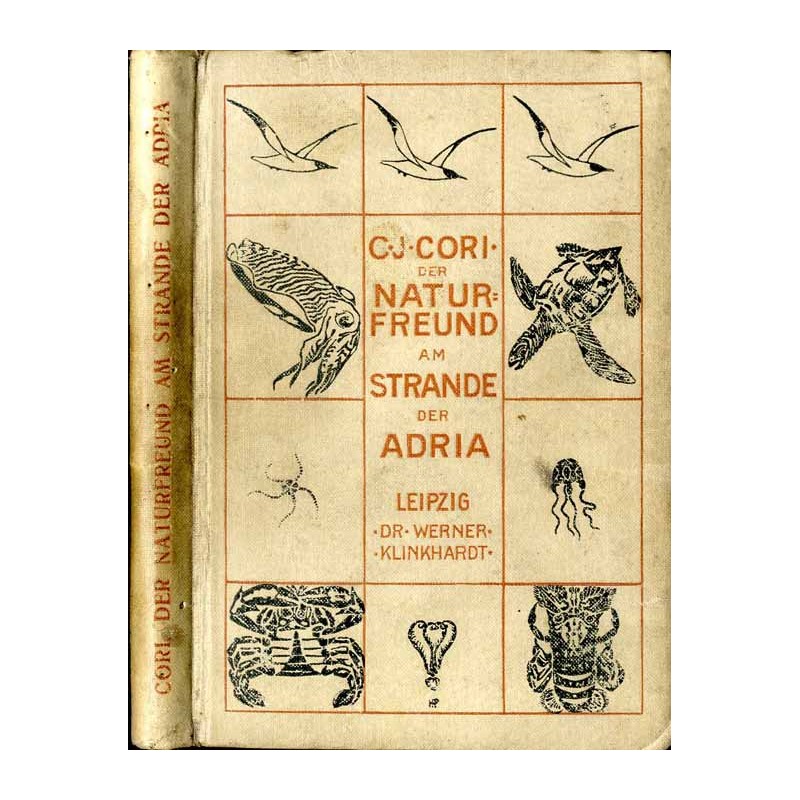 Der Naturfreund am Strande der Adria und des Mittelmeergebietes