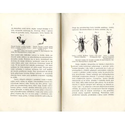 Ważki Galicyi i przyległych krajów polskich  (Odonata Haliciae reliquarumque provinciarum Poloniae)