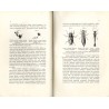Ważki Galicyi i przyległych krajów polskich  (Odonata Haliciae reliquarumque provinciarum Poloniae)