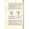 O występowaniu stułbi czerwonej (Hydra rubra Lewes) na Czarnejhorze i kilka słów o tym zwierzęciu  (Über das Auftreten von Hydr