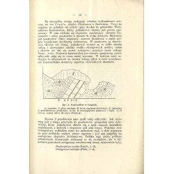 Atlas geologiczny Galicyi. Tekst do zeszytu dziewiętnastego. Sambor (słup IX, pas 6)