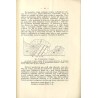 Atlas geologiczny Galicyi. Tekst do zeszytu dziewiętnastego. Sambor (słup IX, pas 6)
