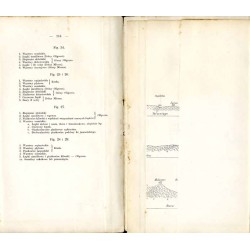 Atlas geologiczny Galicyi. Tekst do zeszytu drugiego (Nadwórna, Mikuliczyn, Żabie, Kuty, Krzyworównia, Popadia-Hryniawa)