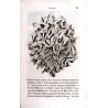 Skizzen aus der Natur. B.1-2. 1 vol.
