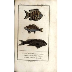 Histoire Naturelle des Poissons. T. 10