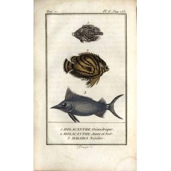 Histoire Naturelle des Poissons. T. 10