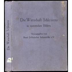 Die Wirtschaft Schlesiens in statistischen Bildern