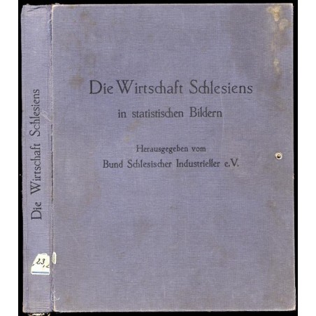 Die Wirtschaft Schlesiens in statistischen Bildern