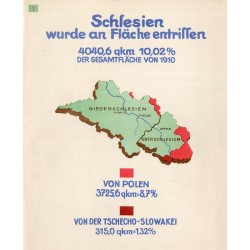 Die Wirtschaft Schlesiens in statistischen Bildern