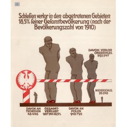 Die Wirtschaft Schlesiens in statistischen Bildern