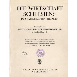 Die Wirtschaft Schlesiens in statistischen Bildern