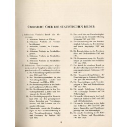 Die Wirtschaft Schlesiens in statistischen Bildern