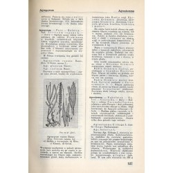 Encyklopedja Farmaceutyczna. 10t. w 10 vol. (komplet wydawniczy)
