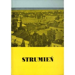 Strumień (z dziejów miasta od jego początków do 1939 r.)