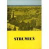 Strumień (z dziejów miasta od jego początków do 1939 r.)