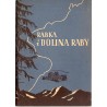 Rabka i dolina Raby
