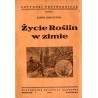 Życie roślin w zimie
