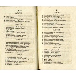 Der junge Schmetterlingssammler oder kurze Anleitung, Schmetterlinge zu sammeln, aufzubewahren und kennen zu lernen.