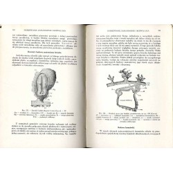 Położnictwo. 3tomy [komplet]