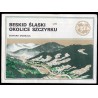 Beskid Śląski. Okolice Szczyrku. Lato [Mapa panoramiczna]