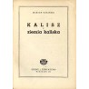 Kalisz i ziemia kaliska