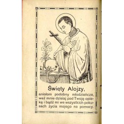 Święty Alojzy, Kwiat czystości. Życiorys świętego Alojzego oraz różne modlitwy na cześć tego Świętego / unikat