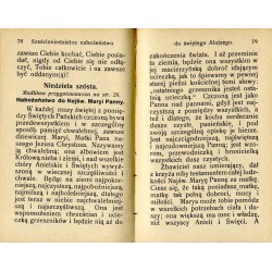 Święty Alojzy, Kwiat czystości. Życiorys świętego Alojzego oraz różne modlitwy na cześć tego Świętego / unikat