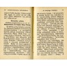 Święty Alojzy, Kwiat czystości. Życiorys świętego Alojzego oraz różne modlitwy na cześć tego Świętego / unikat