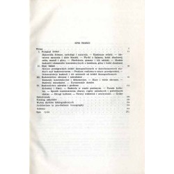 Architektura w ikonografii przedgreckiej