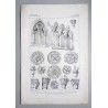 Bilderwerk schlesischer Kunstdenkmäler. Mappe I: Mittelalter. Tafel 8.1: Trebnitz [Trzebnica]. K. Pfarrkirche. Hedwigskapelle. L