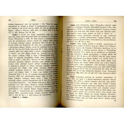Słownik etymologiczny języka polskiego. T. 2: K-Kot