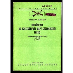 Objaśnienia do szczegółowej mapy geologicznej Polski. Arkusz Rydułtowy (M 34 - 61 D) 1:50.000