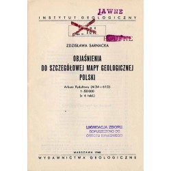 Objaśnienia do szczegółowej mapy geologicznej Polski. Arkusz Rydułtowy (M 34 - 61 D) 1:50.000
