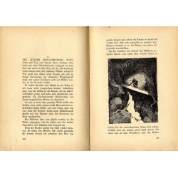 Altvater. Ein Bergbuch voll Geschichten