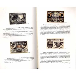 Zielonogórski papierowy pieniądz zastępczy (1917-1923) w zbiorach Gabinetu Numizmatycznego Muzeum Ziemi Lubuskiej  Grünberger P
