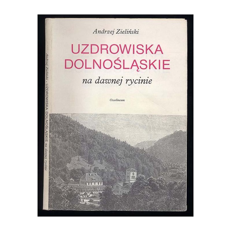 Uzdrowiska dolnośląskie na dawnej rycinie