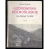 Uzdrowiska dolnośląskie na dawnej rycinie