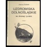 Uzdrowiska dolnośląskie na dawnej rycinie