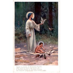Gołąbki się zleciały, do Najświętszej Panienki...