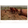 W. Rzegociński. Orka - Paysan au travail