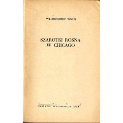Szarotki rosną w Chicago