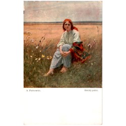 A. Piotrowski. Kwiaty polne.