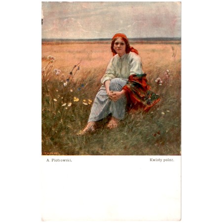 A. Piotrowski. Kwiaty polne.
