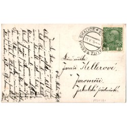A. Piotrowski. Kwiaty polne.