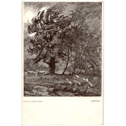 Witold Rzegociński. "Burza"
