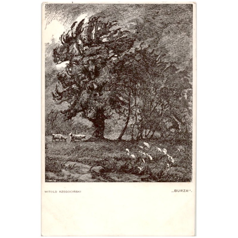 Witold Rzegociński. "Burza"