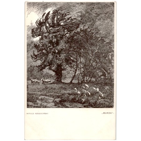 Witold Rzegociński. "Burza"