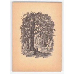 E. Kuczyński. Drzeworyt / Las