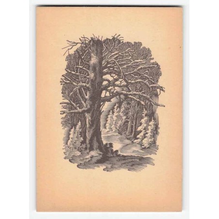E. Kuczyński. Drzeworyt / Las