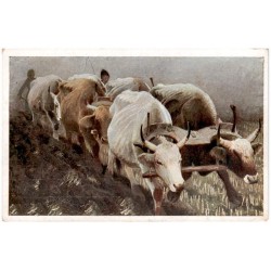 Jarocki. Orka - Le labourage